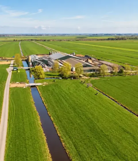 Beelden   Boerderij