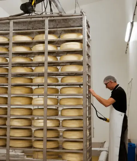 Beelden   Kaasmaken4